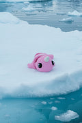 Narwhal Felxi