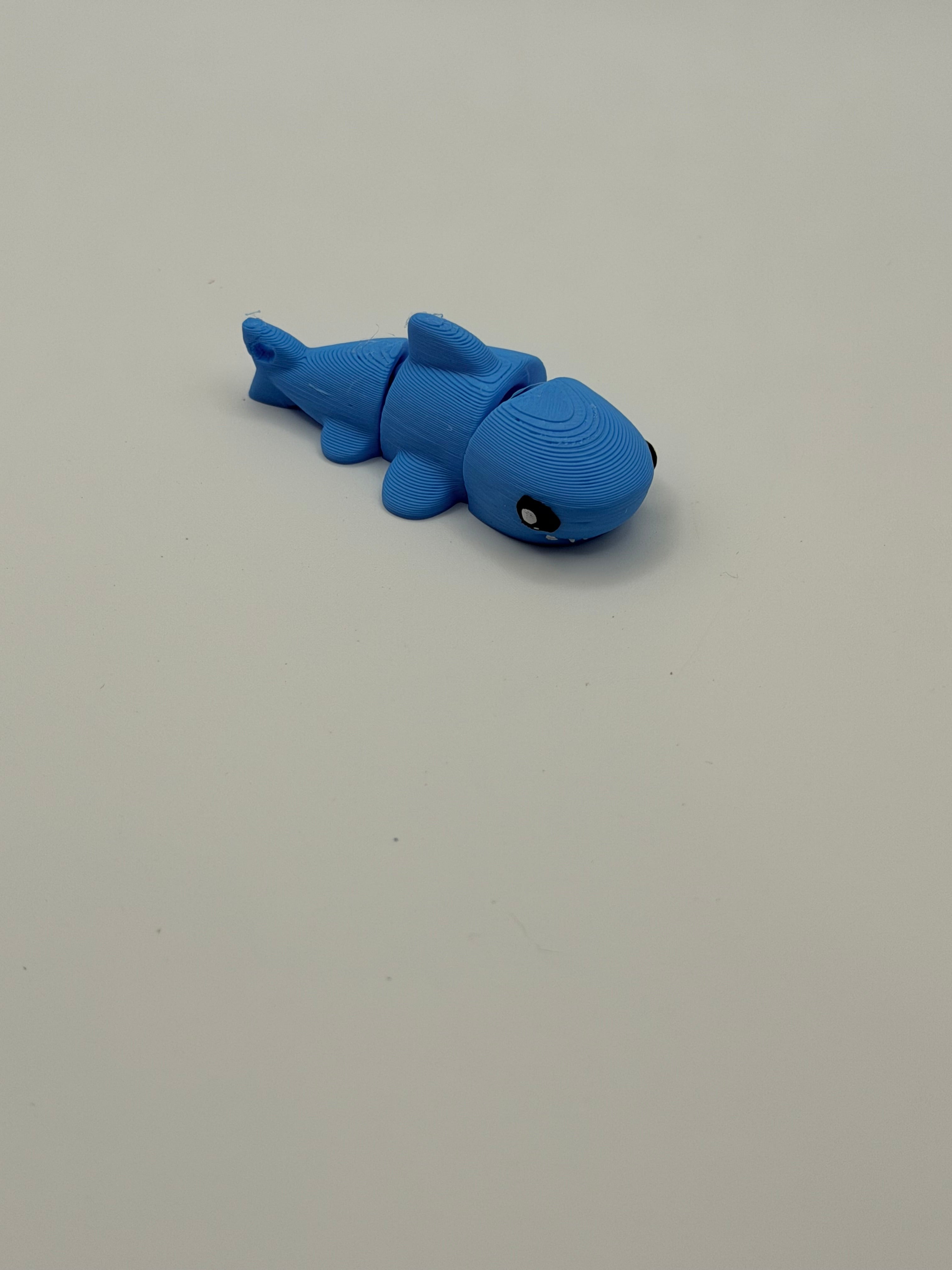 Small Flexi Shark