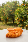 Flexi Orange Fidget