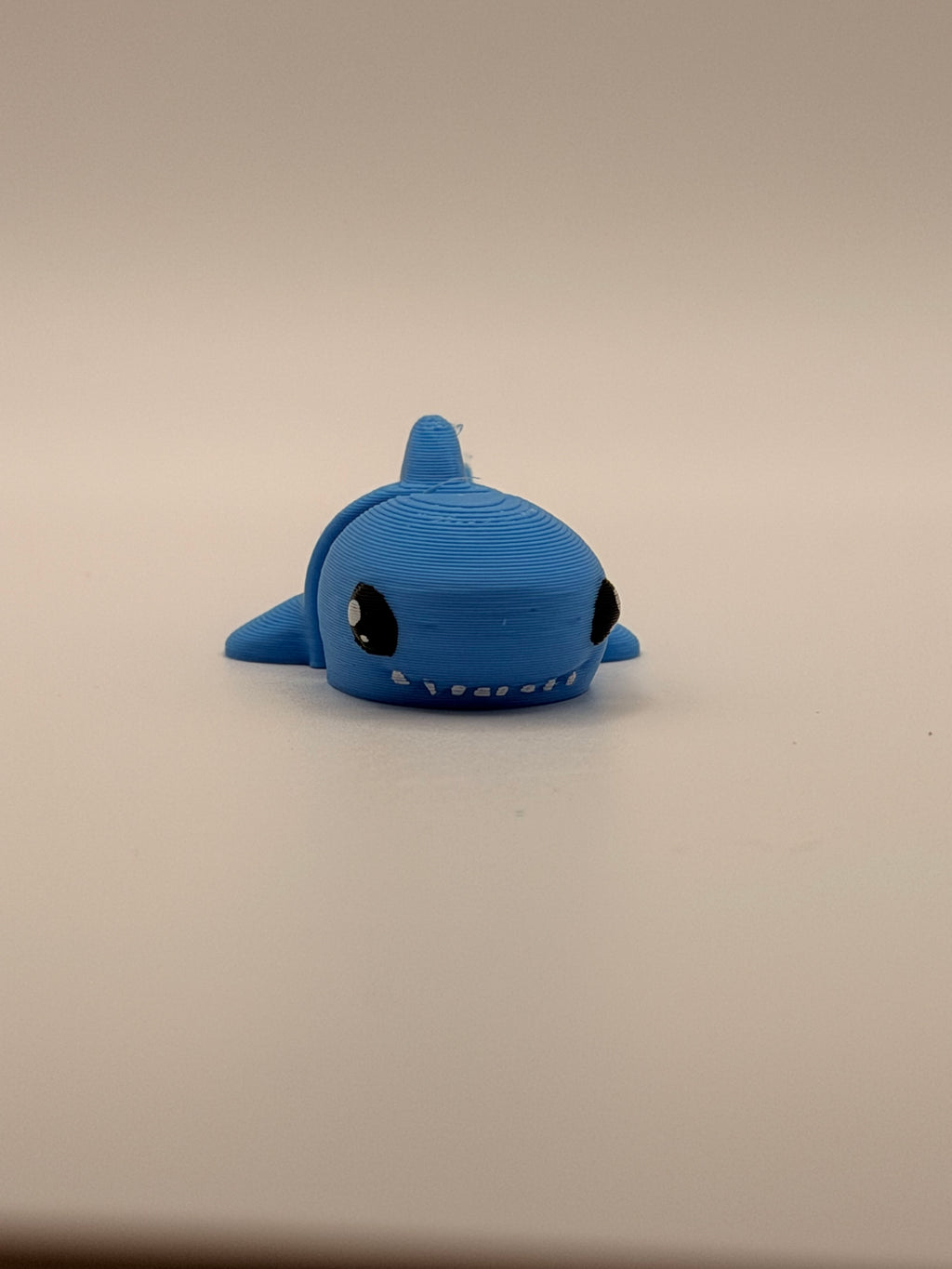 Small Flexi Shark