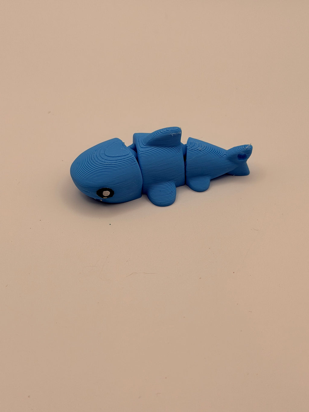 Small Flexi Shark